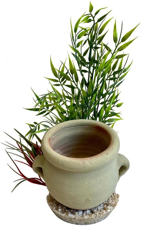 Immagine prodotto Sydeco Vaso diffusore d'aria per decorazioni, 35 x 12 x 12 cm (Spelonca, altre voci)