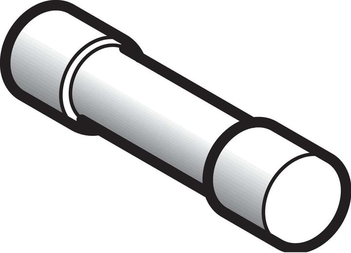 Schneider Electric Sicherungseinsatz NFC 10x38mm DF2CA10 (Zylindersicherung, 10 A)