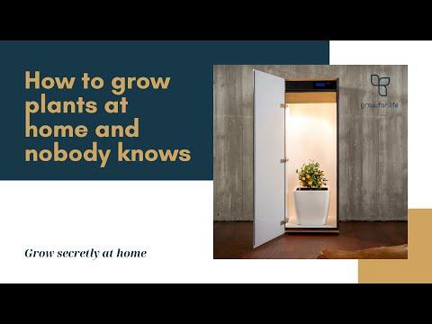 Immagine prodotto Growfor.life Armadio per piante