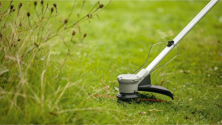 Immagine prodotto Bosch Home & Garden AdvancedGrassCut 36V-33 (Filo di taglio)