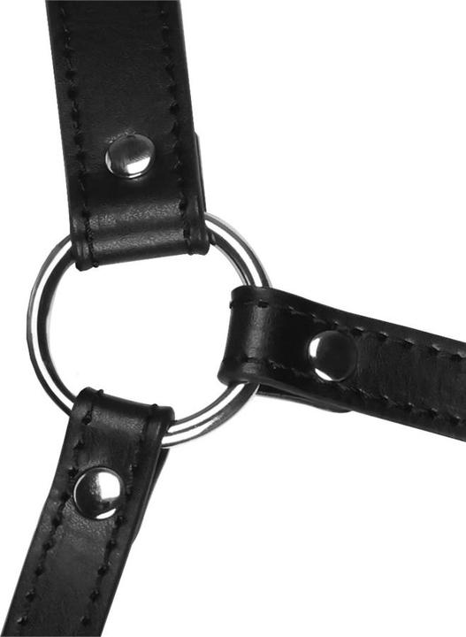 Immagine prodotto Ouch! Head Harness with Mouth Cover and Solid Ball Gag