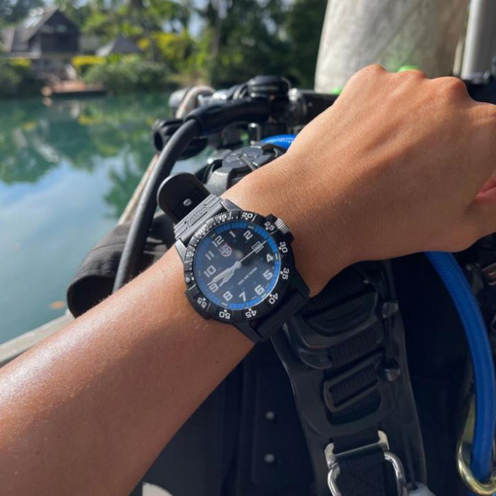 Produktbild Luminox Leatherback Sea Turgle Gian 0320 Series (Analoguhr, 44 mm)