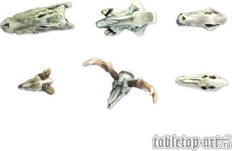 Actual product image Tabletop-Art Accessories Animals Skulls Set 6 pieces (Plastic)