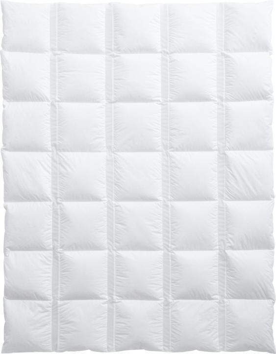 Image du produit Billerbeck Climabalance Classic (600 g, 160 x 240 cm)