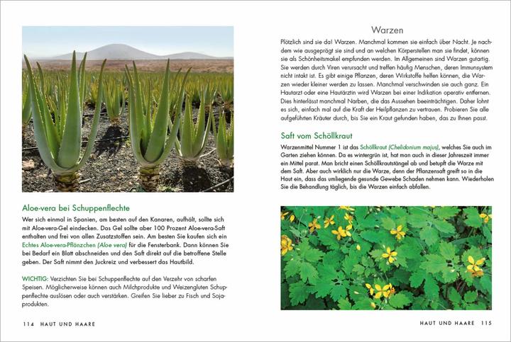 Image du produit Herbes et plantes médicinales pour les femmes : Thés, teintures et pommades issus de la médecine (Allemand, Larena Lambert, 2021)