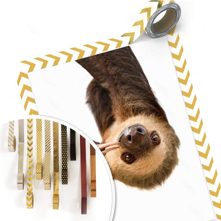 Actual product image Trenddeko The Sloth (50 x 60 cm)