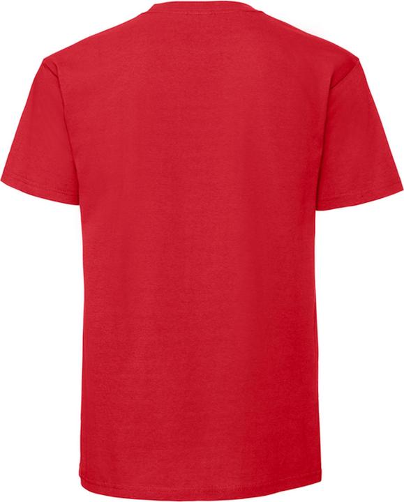 Actual product image Fruit of the Loom Mens Iconic Premium Ringspun Cotton T-Shirt (L)