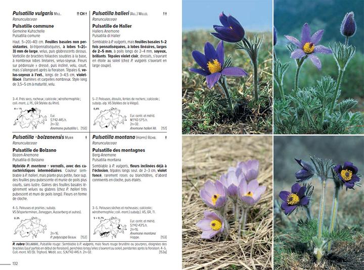Produktbild Flora Helvetica - Flore illustrée de Suisse (Französisch, Andreas Gygax, Konrad Lauber, Gerhart Wagner, 2024)