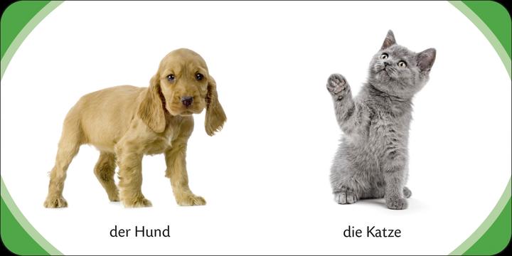 Actual product image Kennst du das? Meine bunte Kinderwelt (German, 2013)