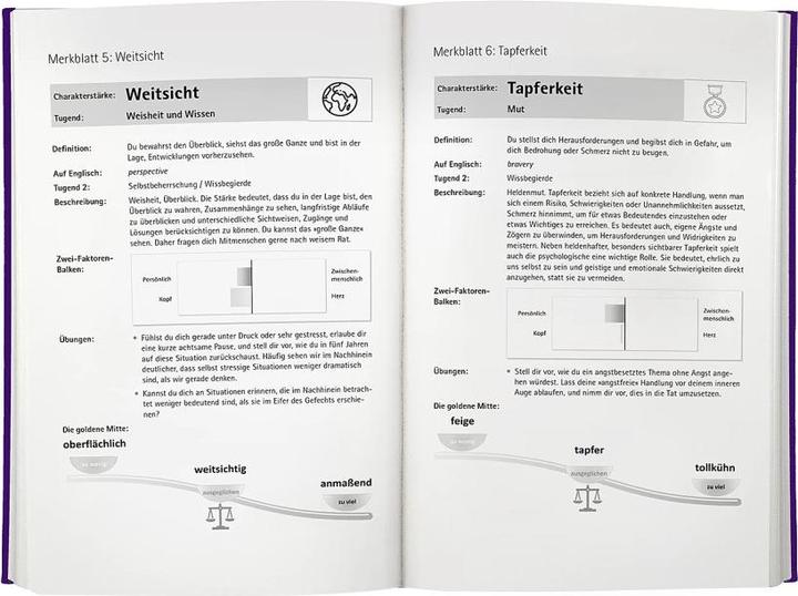 Produktbild Charakterstärke. Mit Achtsamkeit deine positiven Eigenschaften erkennen und entwickeln (Deutsch, Peter Malinowski, 2022)