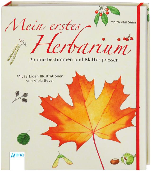 Actual product image Mein erstes Herbarium - Bäume bestimmen und Blätter pressen (German, Anita van Saan, 2008)