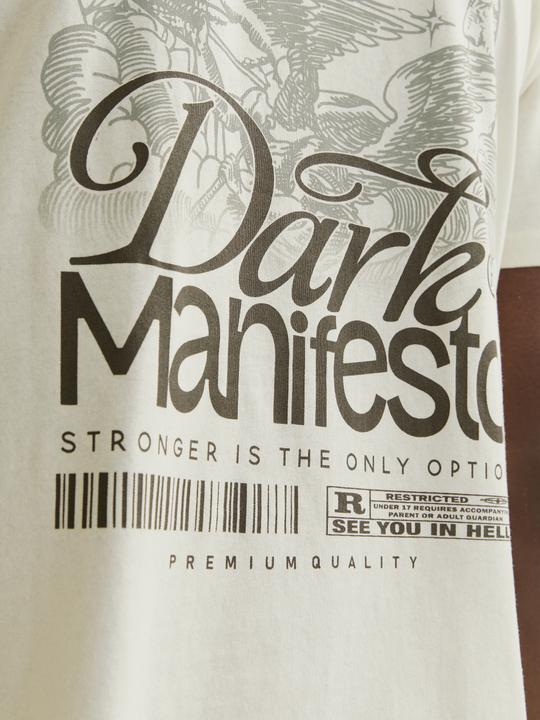 Actual product image Jack & Jones Jordark Tee Ss Crew Neck Ft Styd Aw24 (XS)