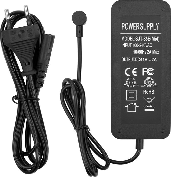 Actual product image Avizar 41V charger