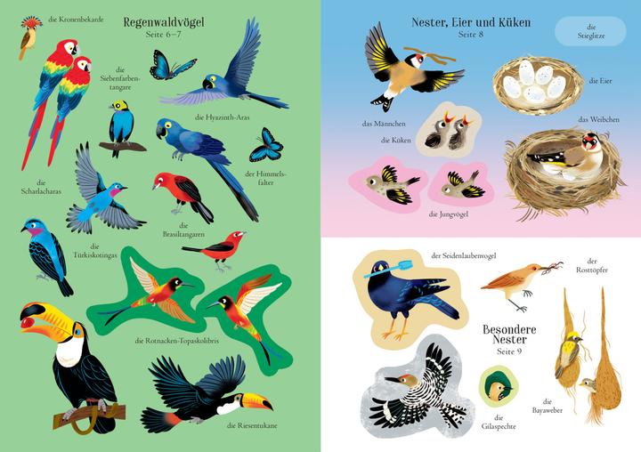 Immagine prodotto Il mio libro di adesivi di sempre: Gli uccelli