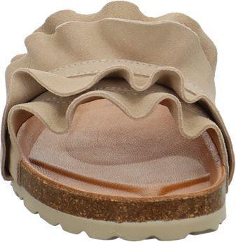 Image du produit Verbenas Rocio (39)