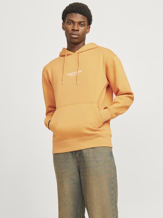 Immagine prodotto Jack & Jones Jorvesterbro Sweat Hood Noos (XXS)