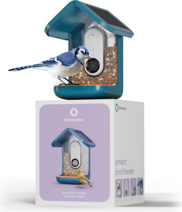 Image du produit Bird Buddy Distributeur de nourriture