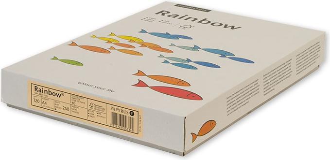 Produktbild Rainbow Kopierpapier (120 g/m², 250 x, A4)