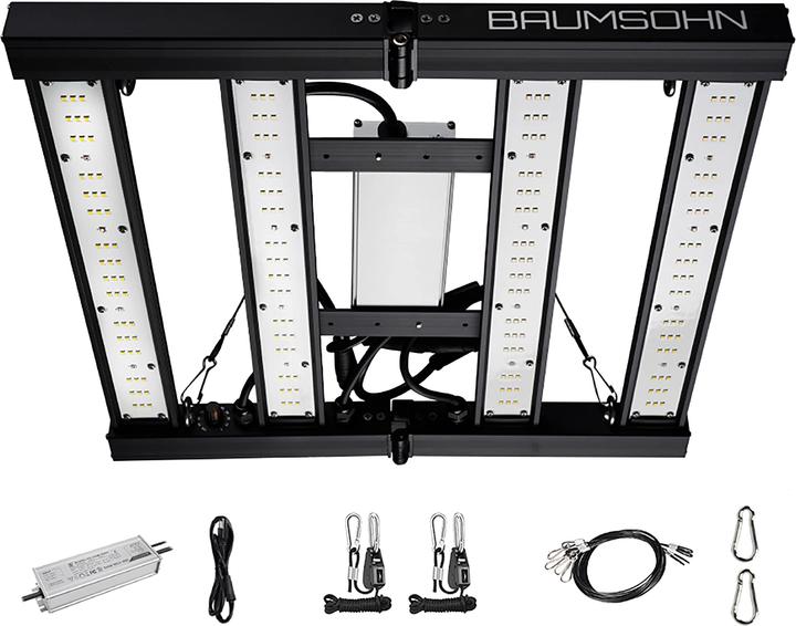 Actual product image Baumsohn GL1000W (LED, 220 V)