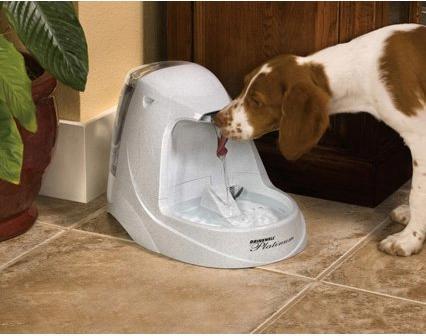Image du produit PetSafe Platine (5 l)