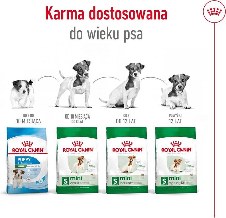 Actual product image Royal Canin Adult dry food (Senior, 1 pcs., 3500 g)