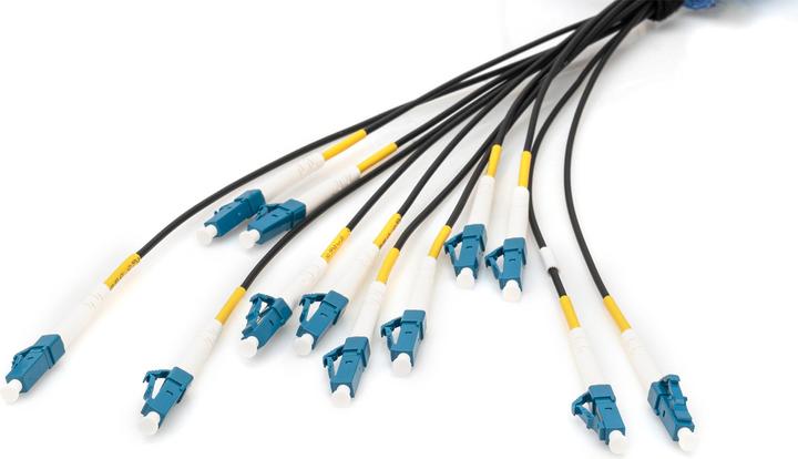 Immagine prodotto Digitus Cavo breakout universale in fibra ottica dotato di terminali, Multimode OS2, 12 fibre, LC/UPC - LC/U (LSOH, 150 m)
