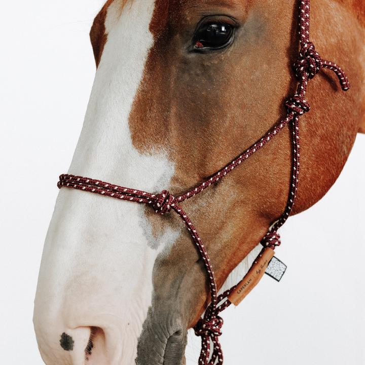Produktbild Caperlan Knotenhalfter Natural Horsemanship Pferd/Pony bordeaux