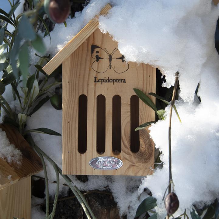 Immagine prodotto Esschert Design Hôtel à papillons avec gravure (Farfalle)