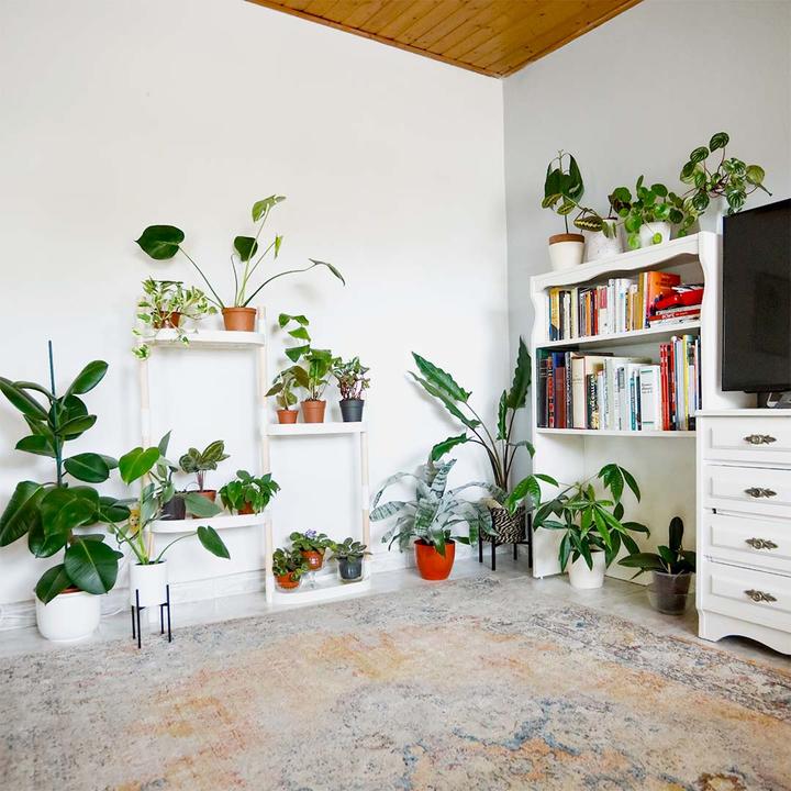 Image du produit CitySens Plant Shelves  white color  4 trays