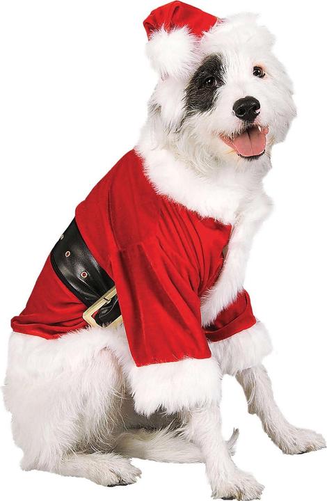 Image du produit Bristol Novelty - Costume pour chiens (M, Déguisement pour chien)