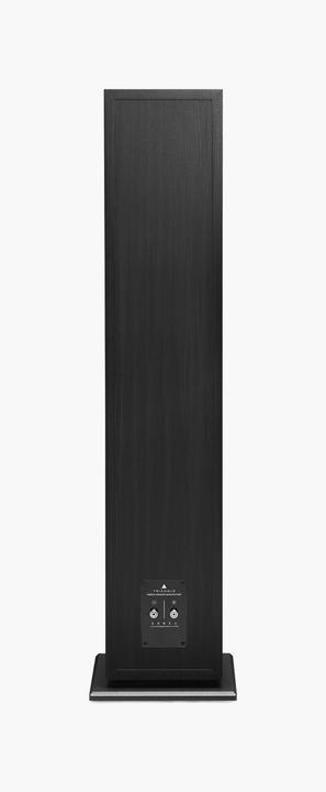 Actual product image Triangle BOREA BR08 Black Ash (1 pair, 150 W)