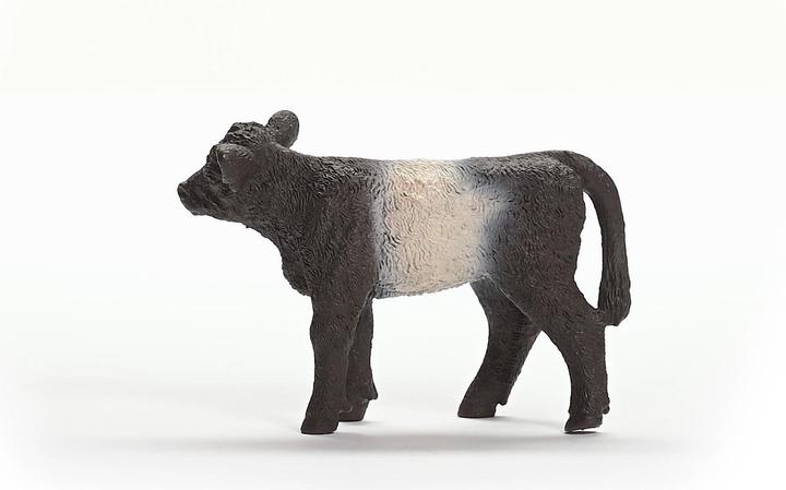 Actual product image Schleich Galloway calf