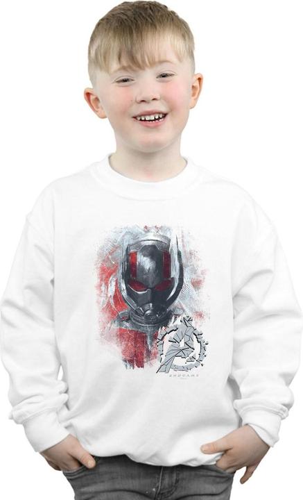 Immagine prodotto Avengers Endgame Ant-Man Brushed Felpa Ragazzi (140, 146)