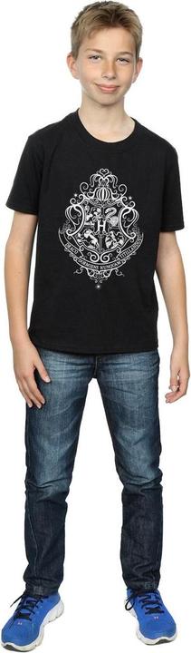 Image du produit - T-shirt HOGWARTS DRACO DORMIENS CREST - Garçon (128)