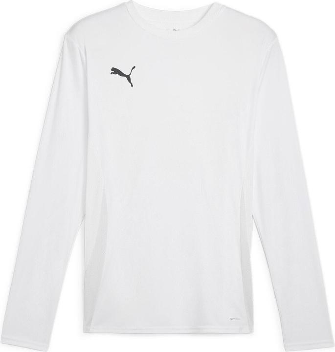 Puma teamGOAL LS Jersey
