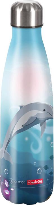 Dolphin Pippa, Acier inoxydable