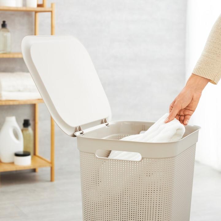 Actual product image Rotho Brisen (50 l)