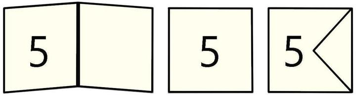 Actual product image Folia Blank card (5 pcs.)