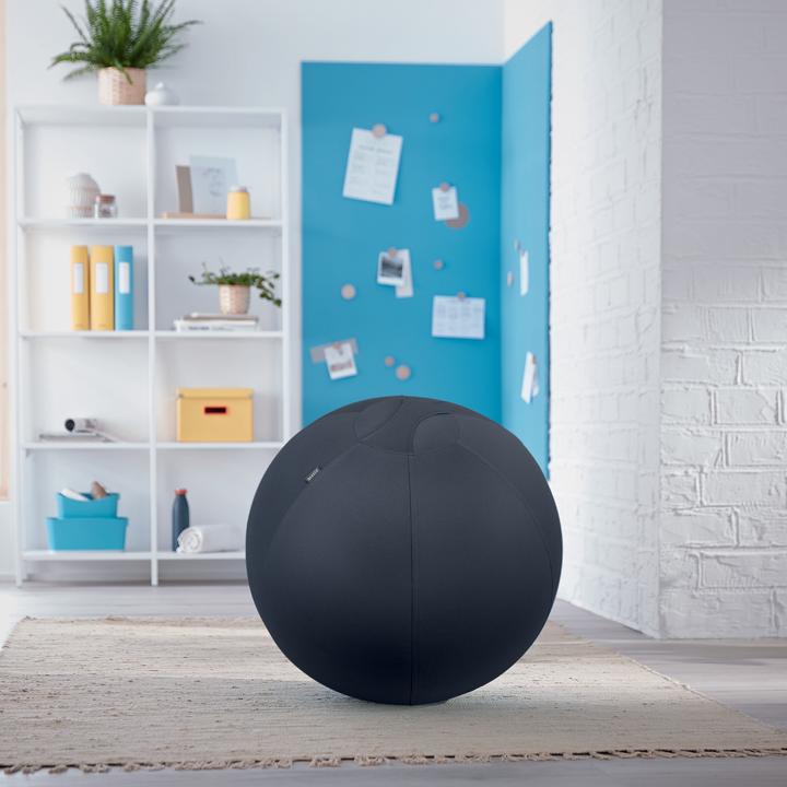 Image du produit Leitz Sitting Ball Ergo Cosy (65 cm)