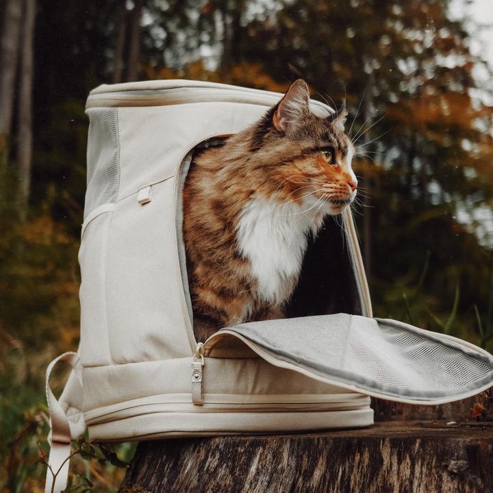 Produktbild LucyBalu HOP-ON Katzenrucksack (Katze, Sicherheitsverschluss)