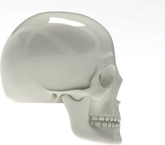 Immagine prodotto Luckies Tappi per valvole a cranio