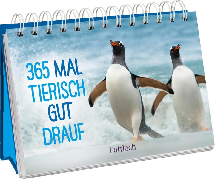 Actual product image 365 times in a great mood! (Hardcover, German)