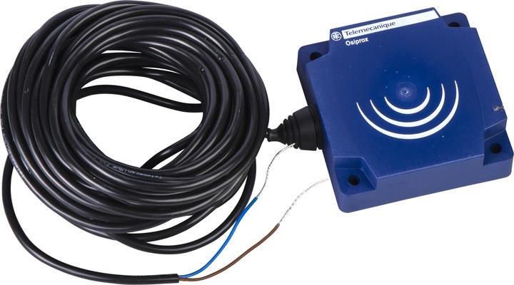 Image du produit Schneider Electric Détecteur de proximité inductif XS9D111A2L10 (Interrupteur)