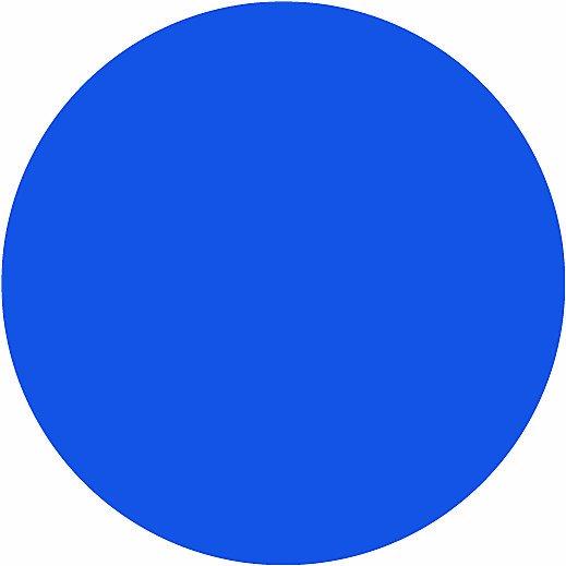 Produktbild smiT Magnetsymbol KREIS, Ø 30 mm, VE 20 Stk, blau