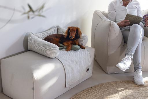 Image du produit Designed by Lotte Ribbed (Chien)