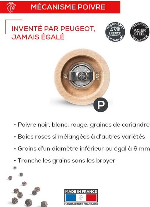 Image du produit Peugeot Paris (Sel)