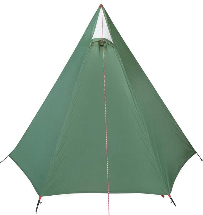 Actual product image VidaXL Camping tent 3 persons 465 x 220 x 170 cm 185T Taffeta (Dome tent, 6.20 kg, 3 persons)