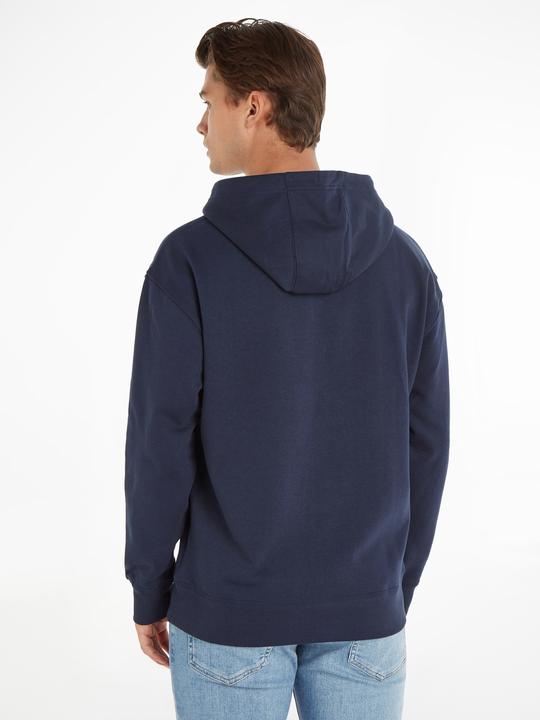 Actual product image Tommy Hilfiger Hoodie (48)
