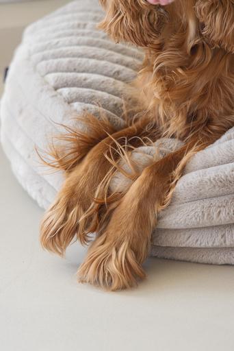 Productafbeelding Designed by Lotte Reza ligkussen (Hond)