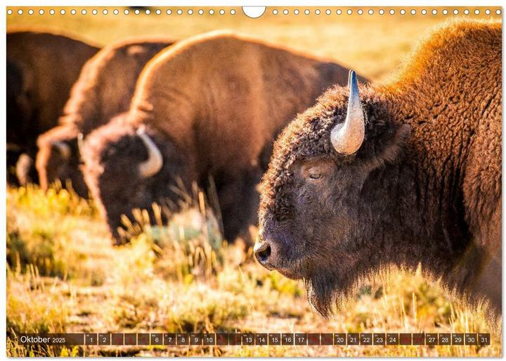 Produktbild Atemberaubendes Amerika - Die schnsten Nationalparks im Westen der USA (Wandkalender 2025 DIN A (A5, Deutsch)